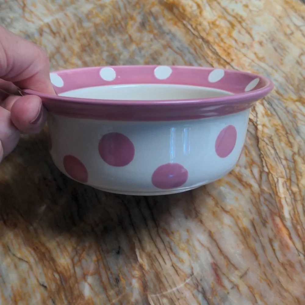 PETRAGEOUS Pet Dog Cat Bowl Feeder
